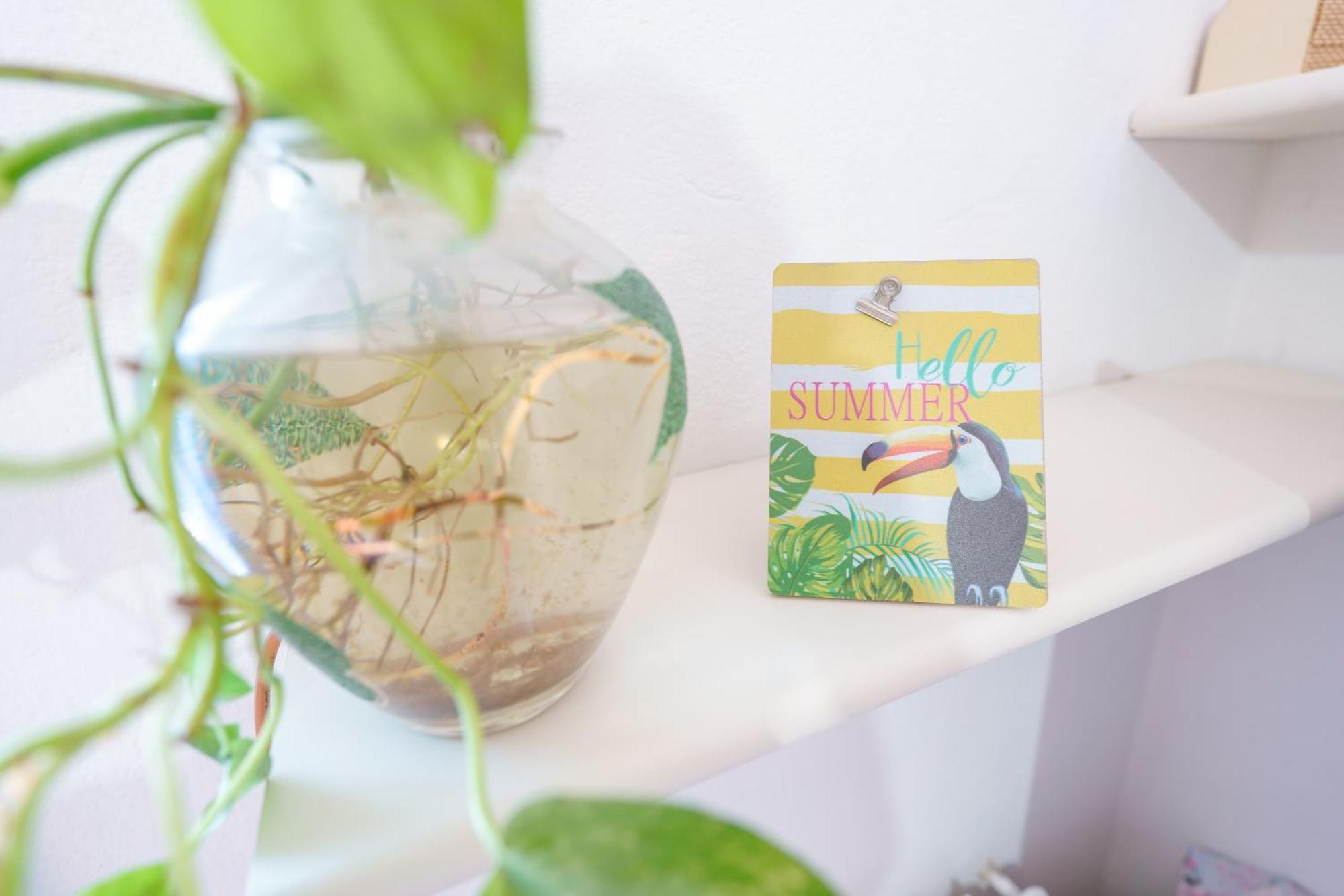 B&B Pothos - Eng Ita - Air Conditioning Wi-Fi Fridge Netflix Local Guide - Aria Condizionata, Frigo, Internet, Guida Locale Cagliari Exteriér fotografie